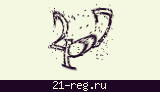 Защитный код