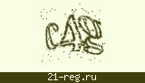Защитный код