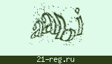 Защитный код