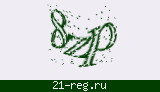 Защитный код