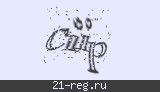 Защитный код