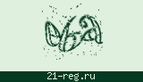 Защитный код