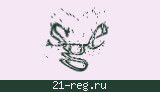 Защитный код