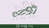 Защитный код