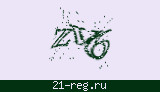Защитный код