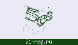 Защитный код