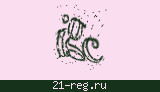 Защитный код