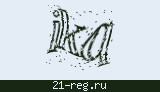 Защитный код