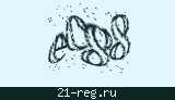 Защитный код