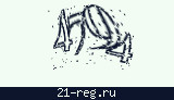 Защитный код