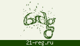 Защитный код