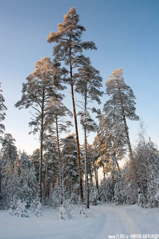 После снегопада