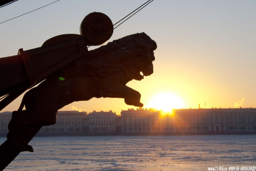 Лев и солнце